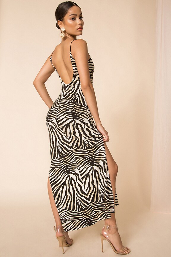Image 1 of Zebra Print Dress in Zebra