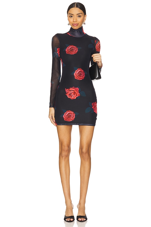 Image 1 of Liora Mini Dress in Rose Multi