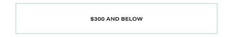 $300 and Below
