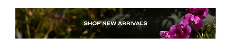 Shop New Arrivals