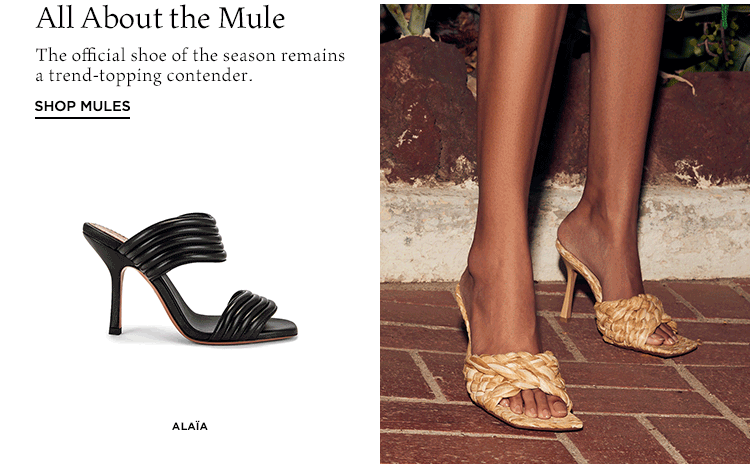 All About the Mule - Shop mules