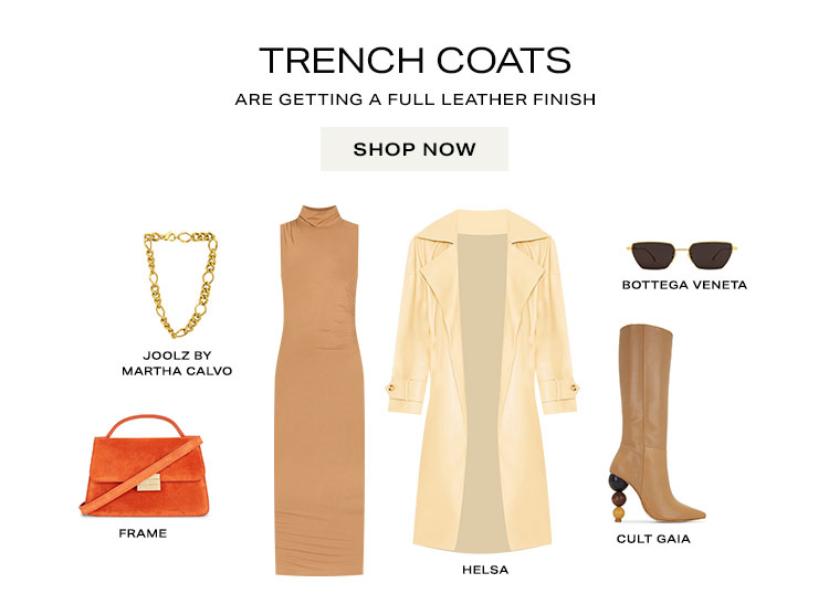 Trench Coats Are Getting a Full Leather Finish. Shop Now
