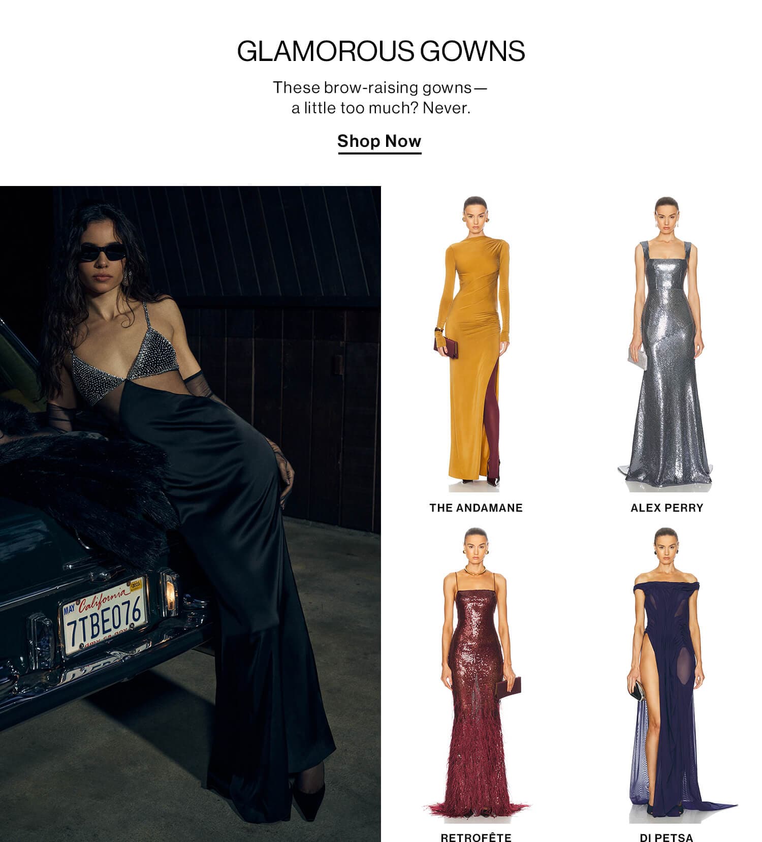 GLAMOROUS GOWNS DEK: These brow-raising gowns—a little too much? Never. CTA: Shop Now