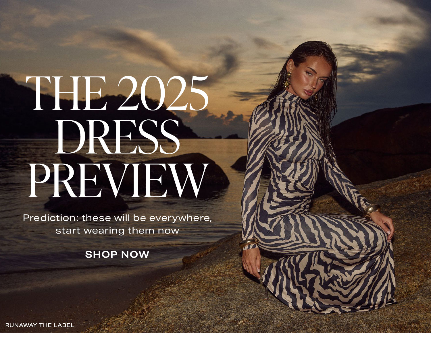 The 2025 Dress Preview. SHop Now.