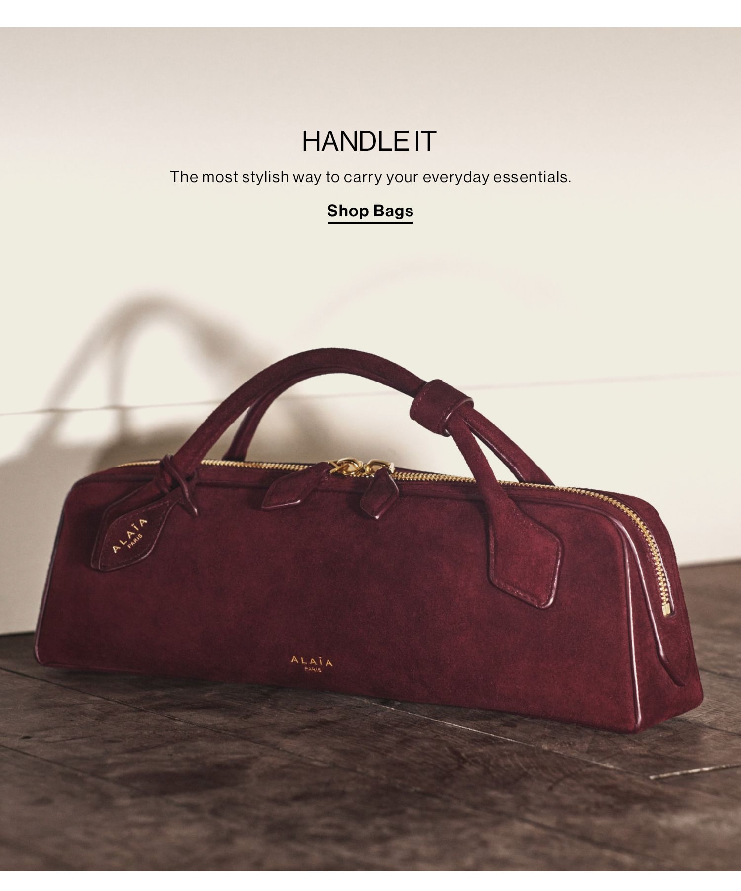 HANDLE IT. The most stylish way to carry your everyday essentials. Shop Bags