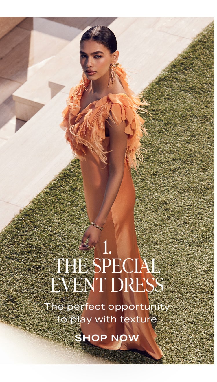 1. The Special Event Dress