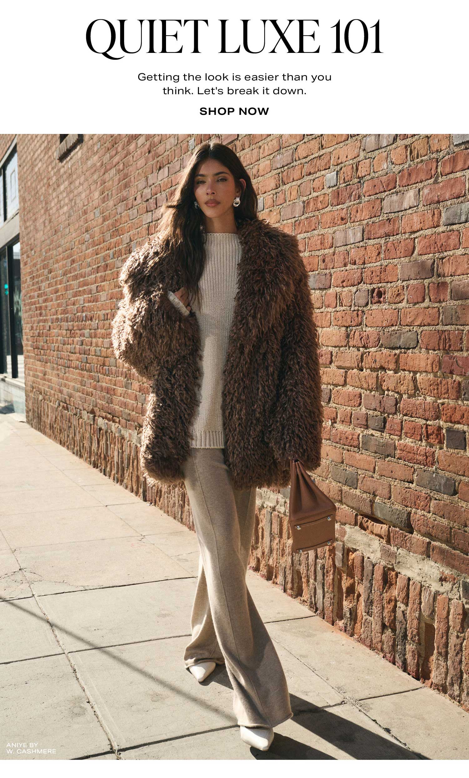 Quiet Luxe 101. Shop Now. 