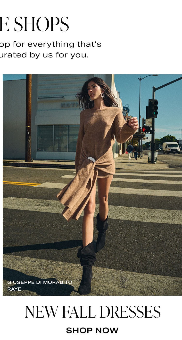 REVOLVE Shops: Shop New Fall Dresses