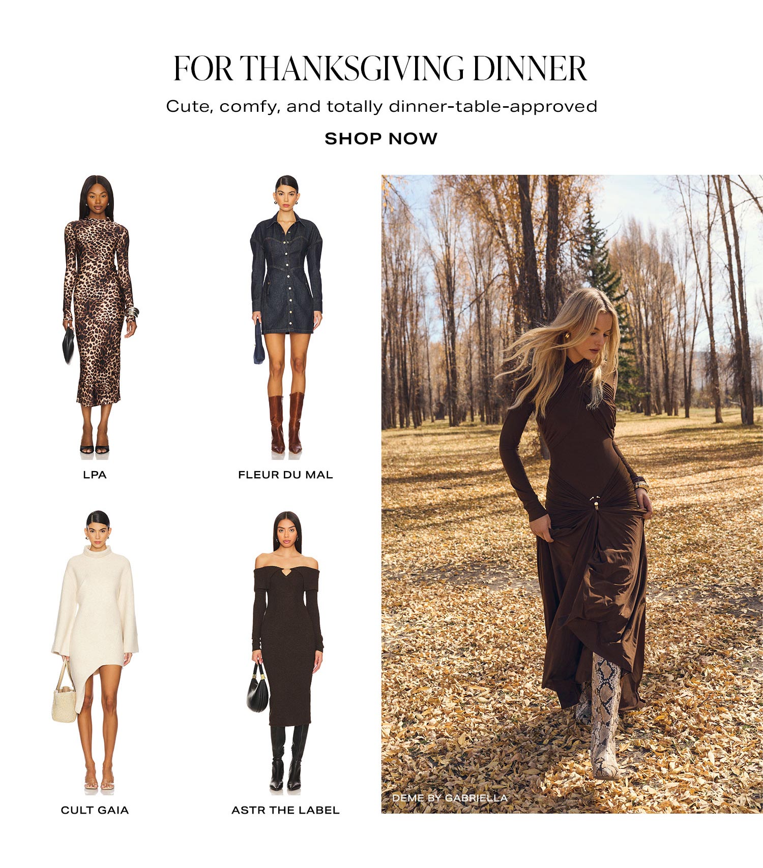  For Thanksgiving Dinner. Shop Now.