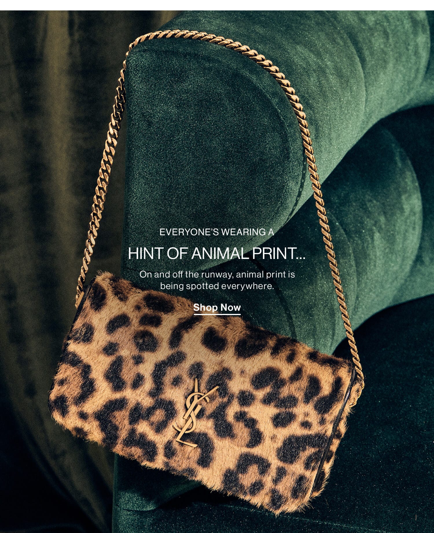 Everyones Wearing a Hint of Leopard Print… On and off the runway, leopard print is being spotted everywhere. Shop Now 