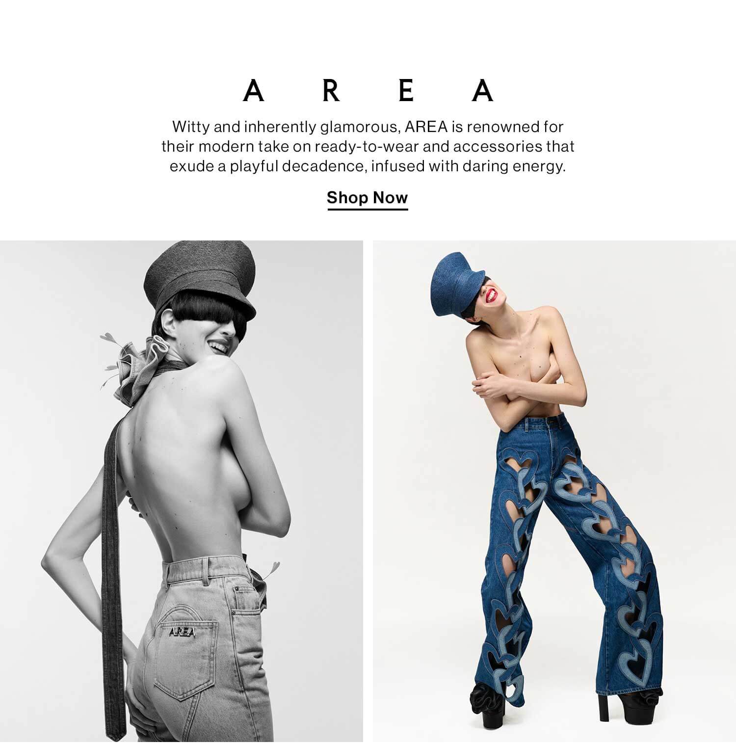 AREA DEK: Witty and inherently glamorous, AREA is renowned for their modern take on ready-to-wear and accessories that exude a playful decadence, infused with daring energy. CTA: Shop Now