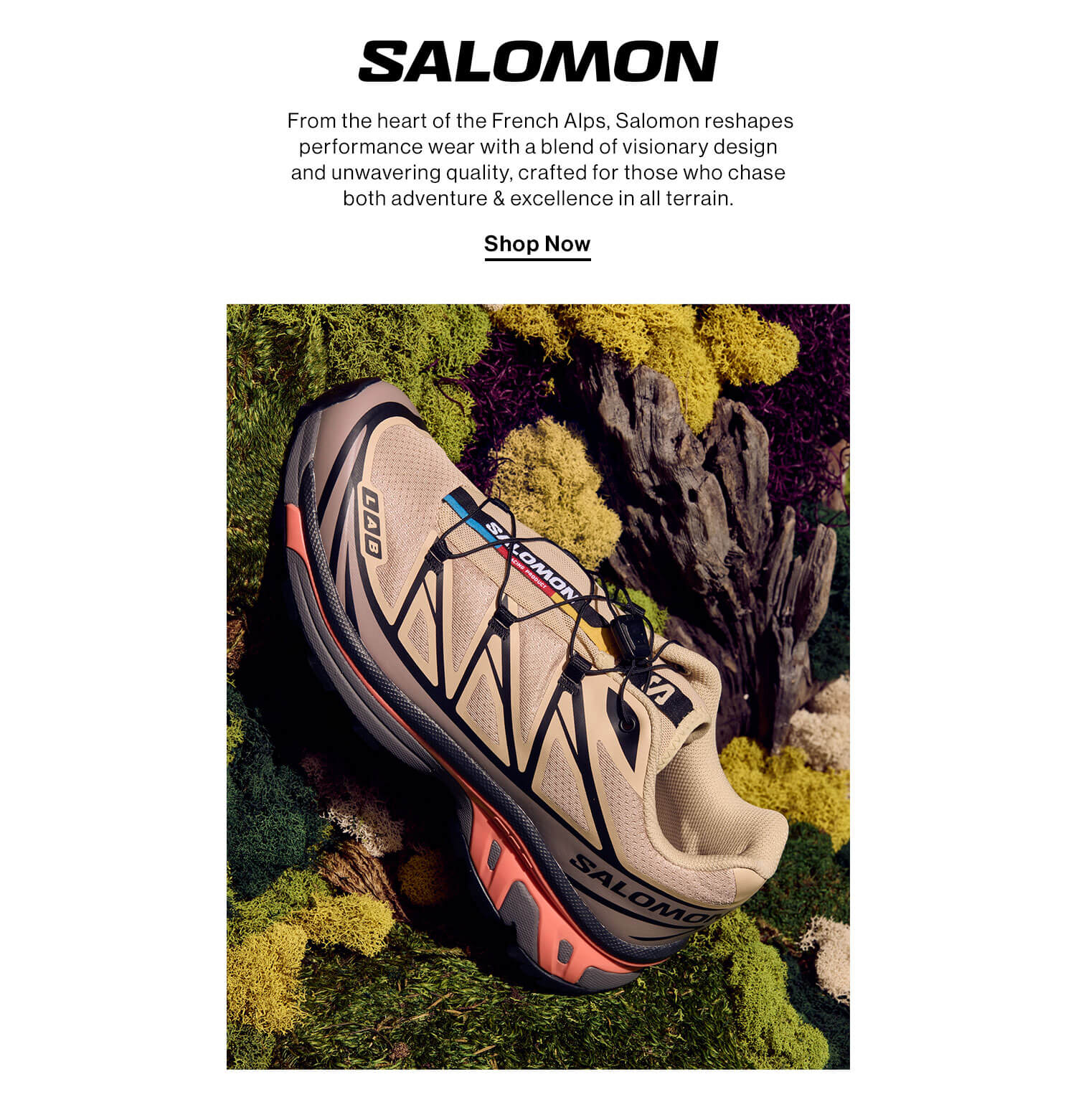 SALOMON: From the heart of the French Alps, Salomon reshapes performance wear with a blend of visionary design and unwavering quality, crafted for those who chase both adventure & excellence in all terrain. Shop Now