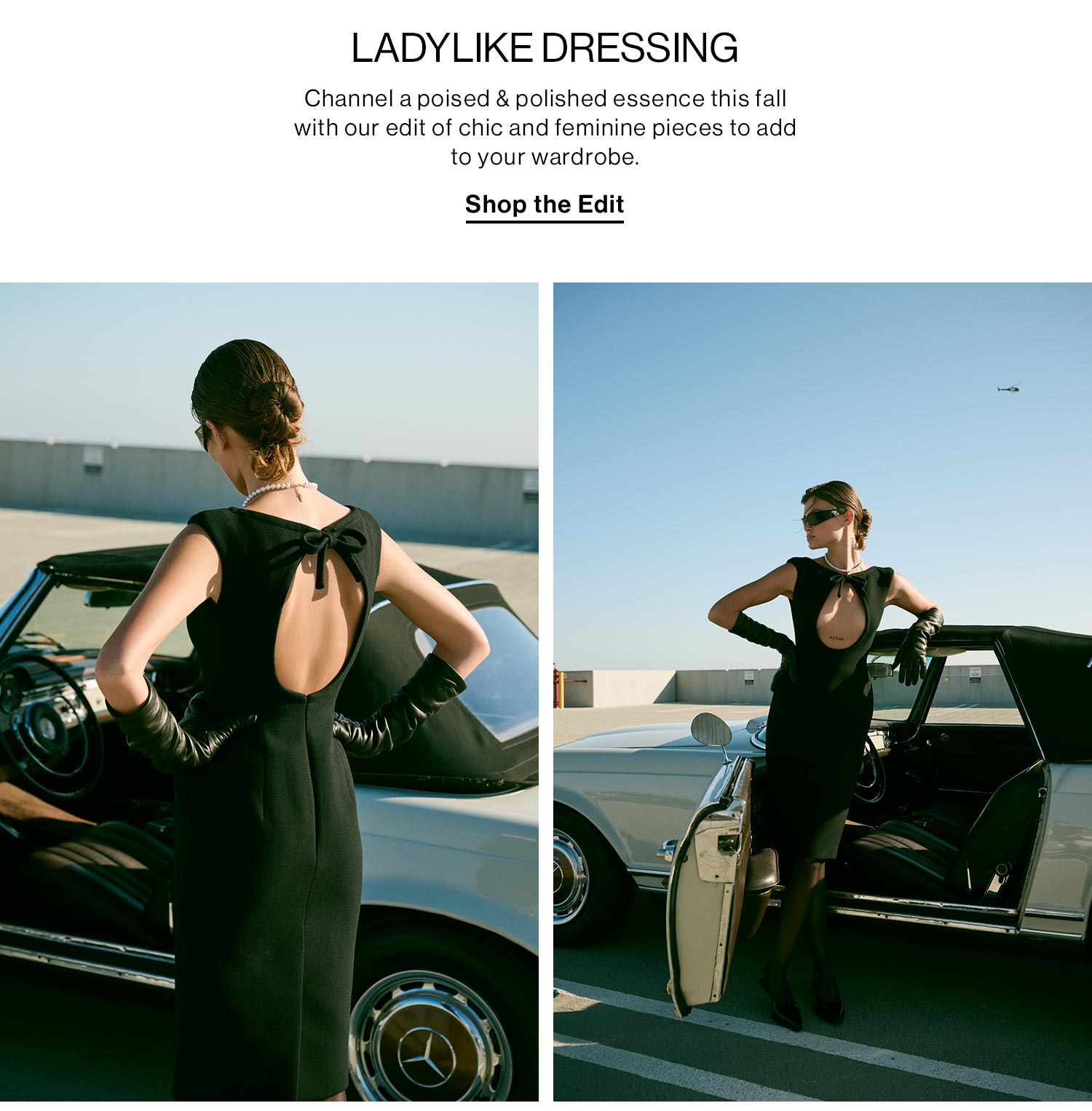 Ladylike Dressing