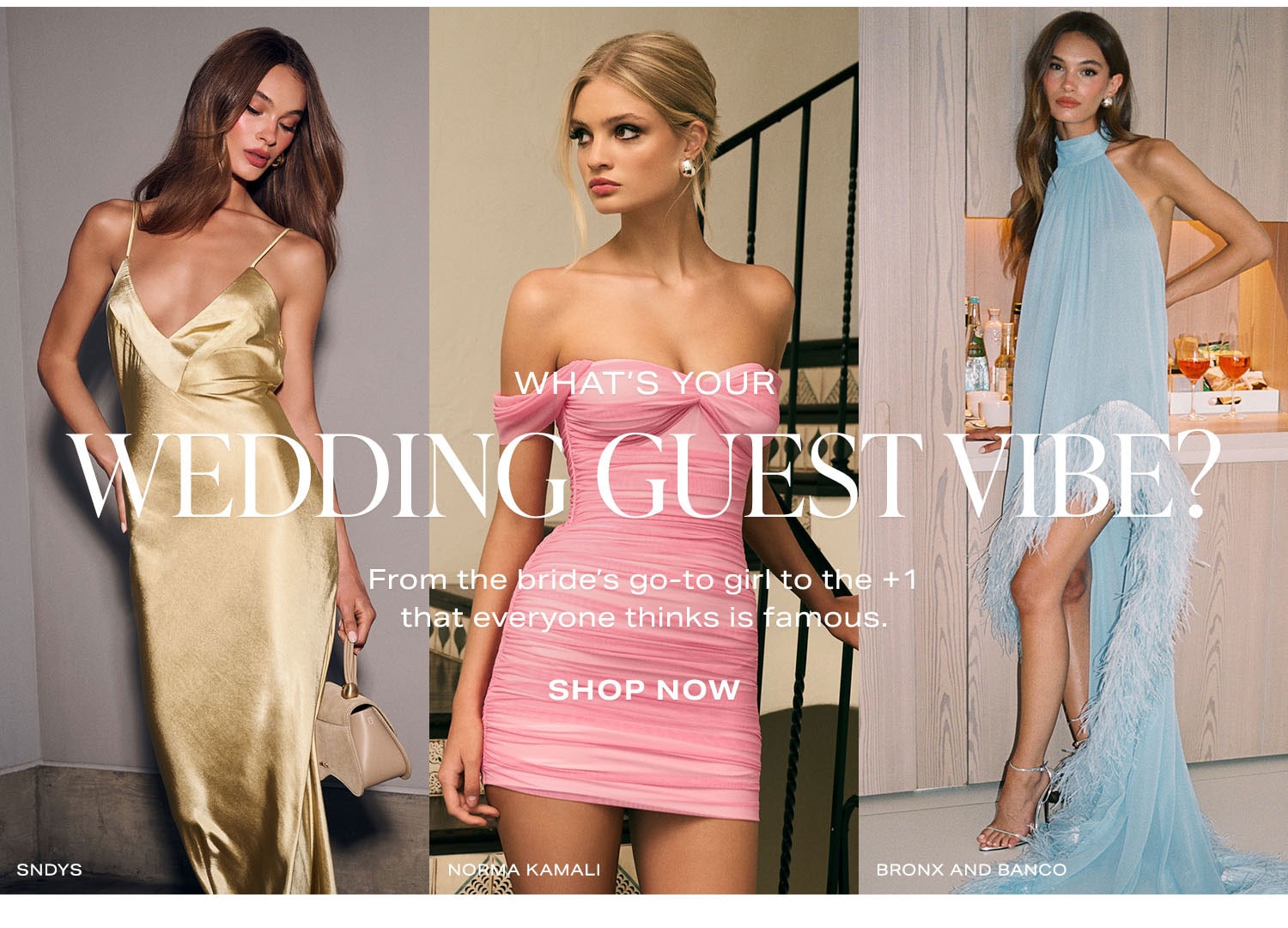 What's Your Guest Vibe?