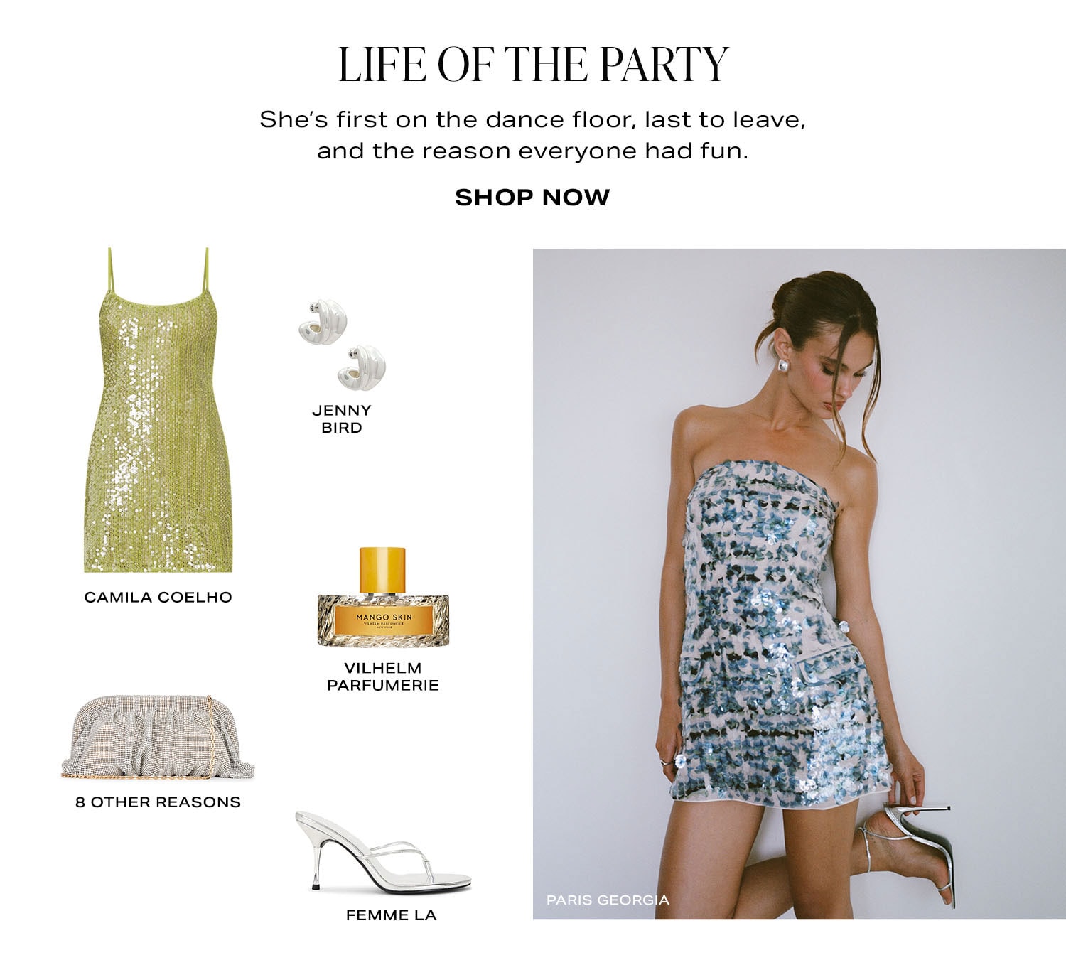 Life Of The Party