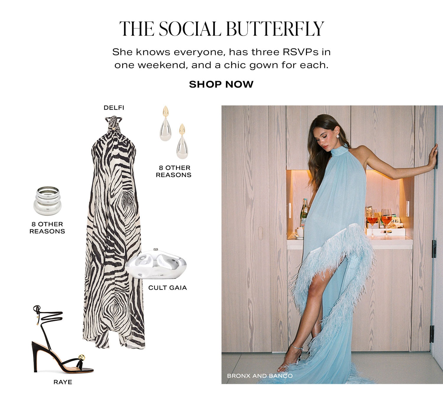 The Social Butterfly