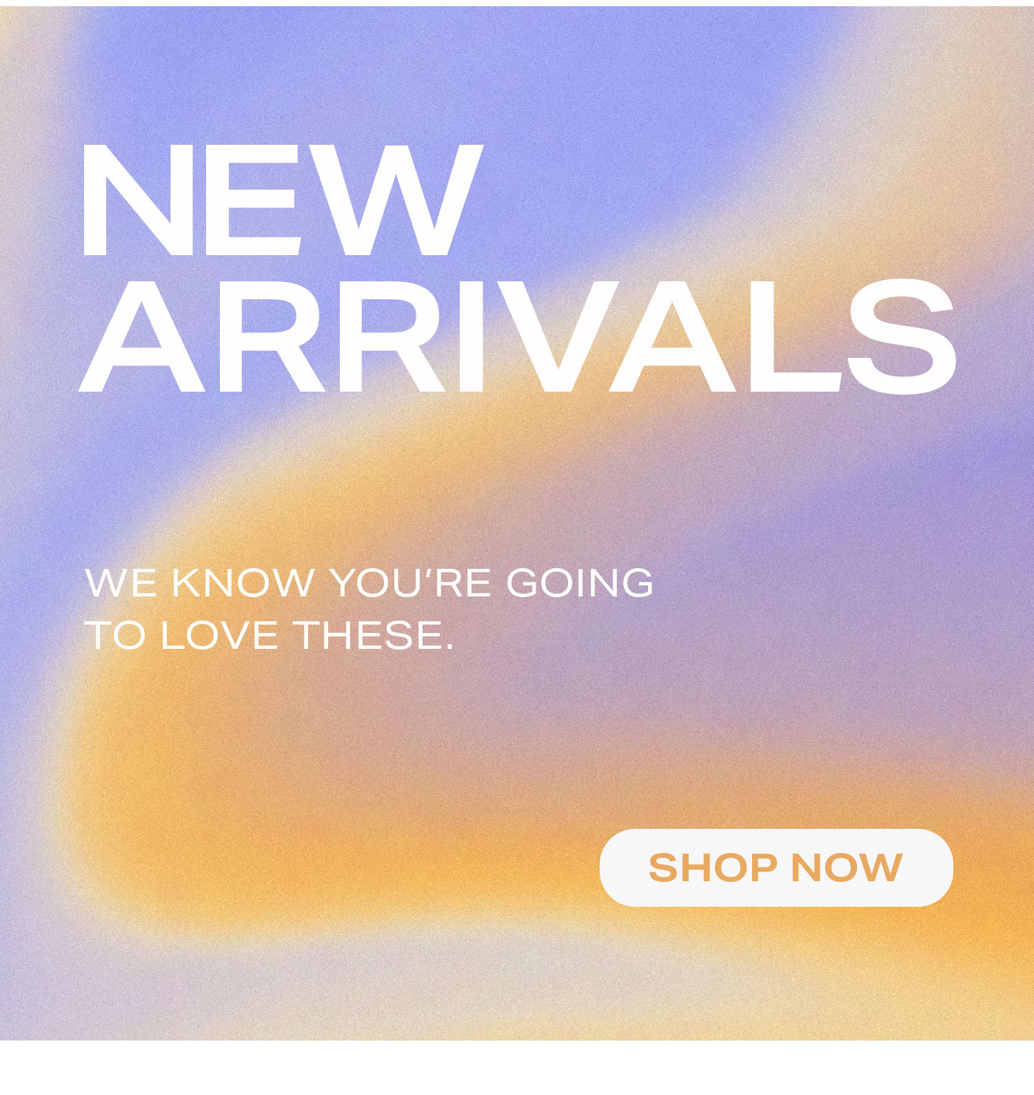 New Arrivals. We know you're going to love these. Shop Now.