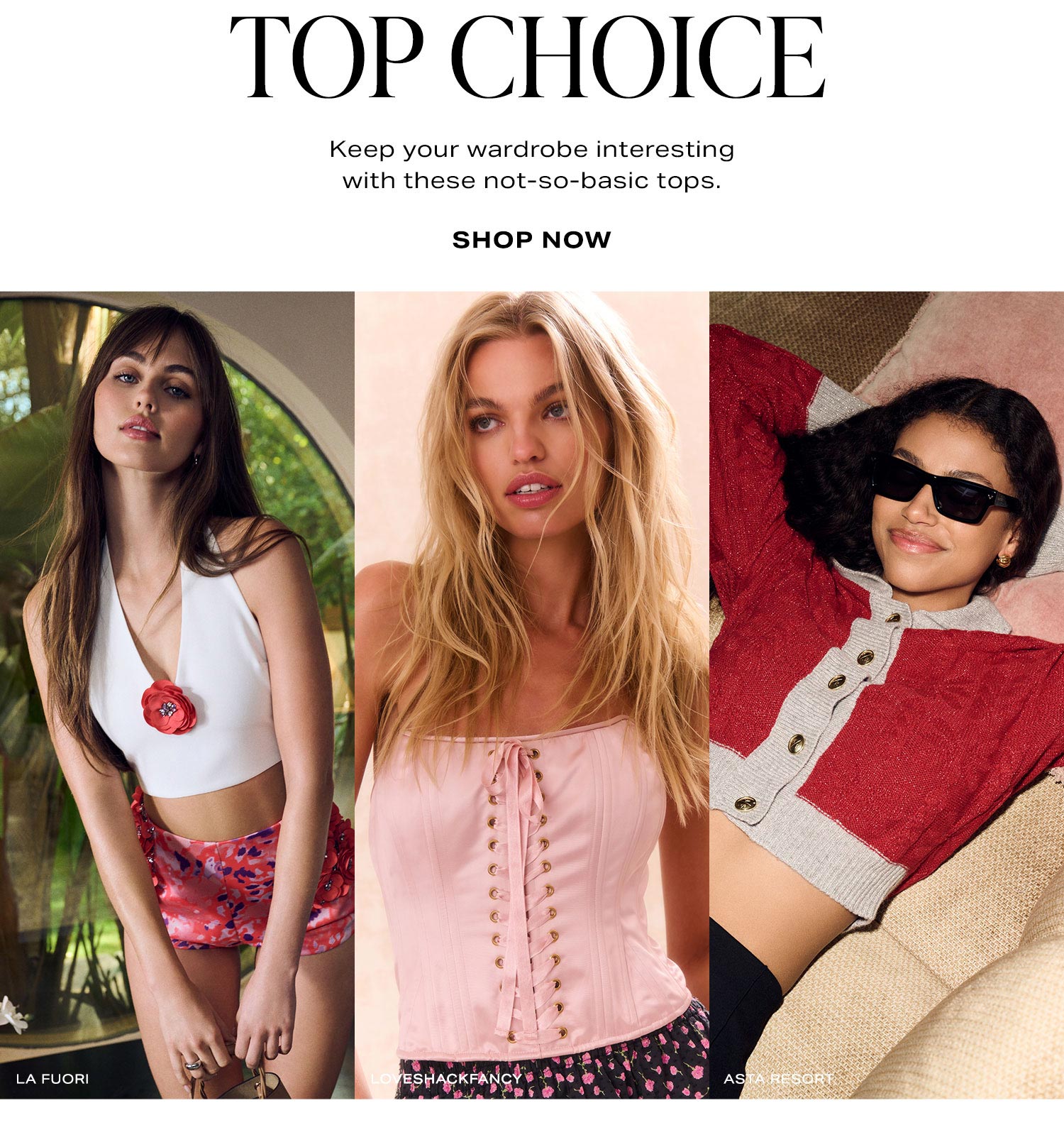 Top Choice. Shop Now.