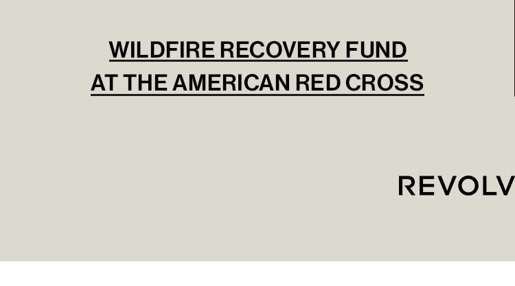 WILDFIRE RECOVERY FUND AT THE AMERICAN RED CROSS