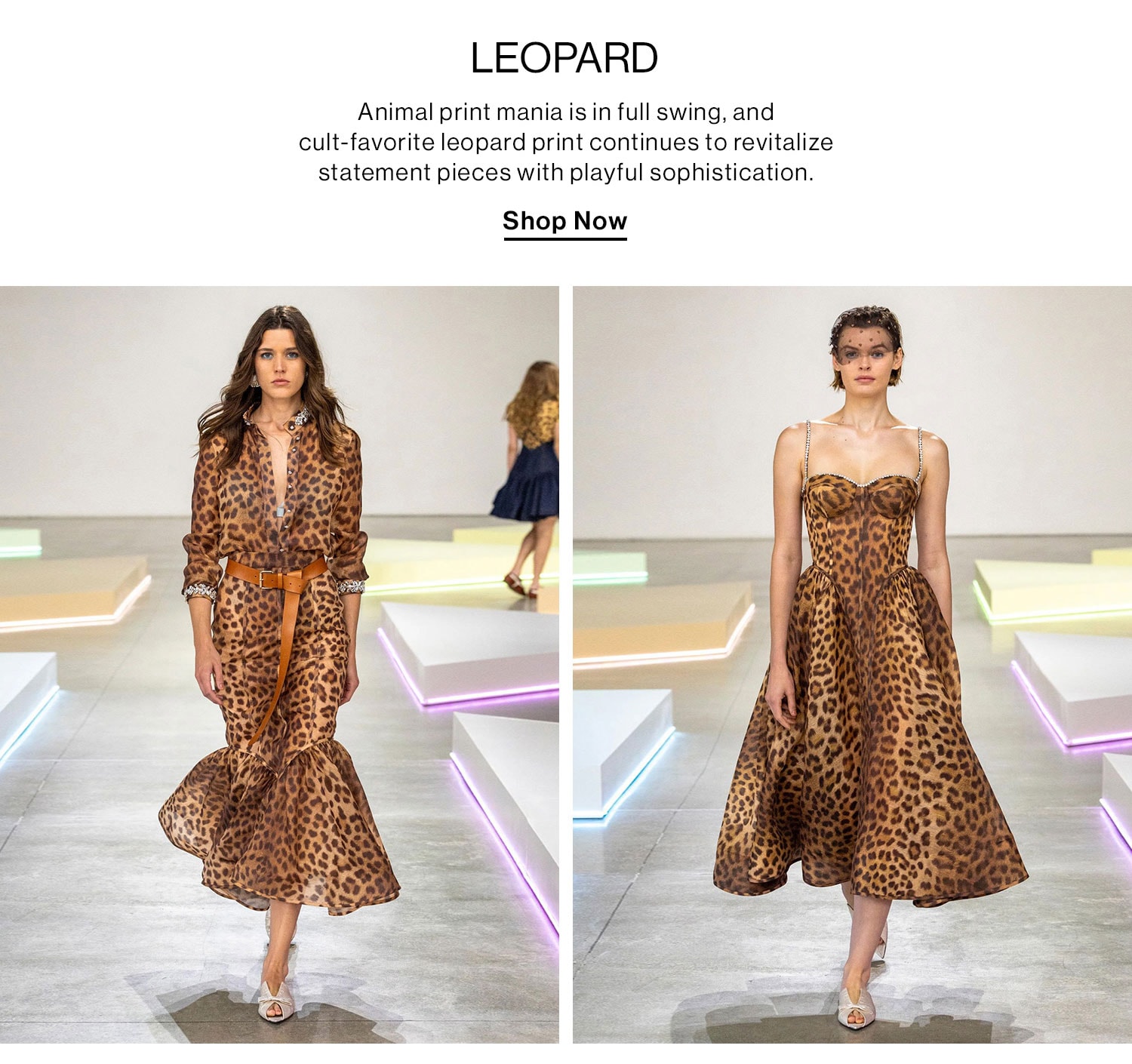 LEOPARD. Shop Now.