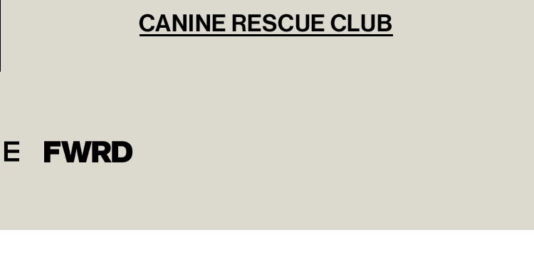 More Ways to Help: Canine Rescue Club