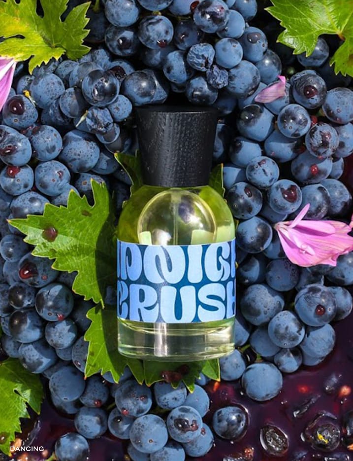 Dancing Sonoma Midnight Crush Fragrance in a garden of blueberries.