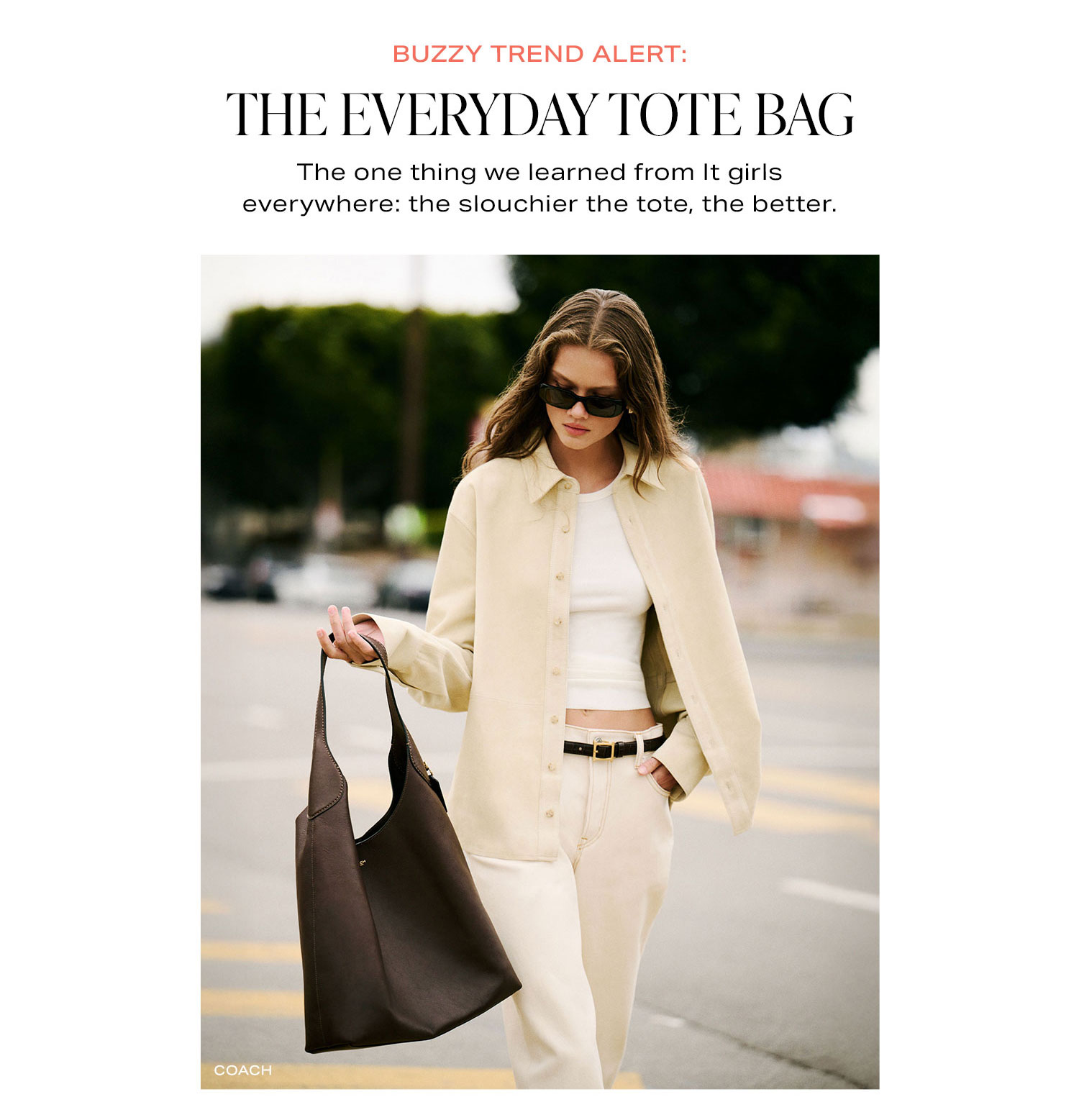 The Everyday Tote Bag