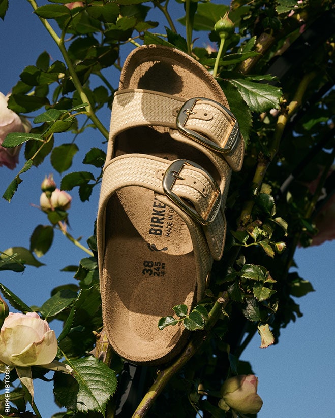 Summer Shoe Essentials