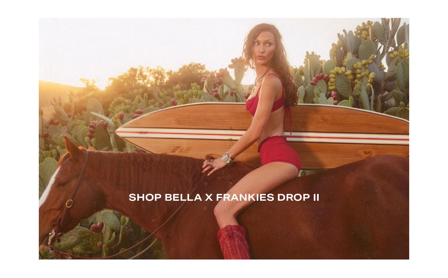 Shop Bella x Frankies Drop II