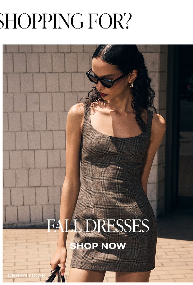 What're You Shopping For? Fall Dresses. Shop Now.