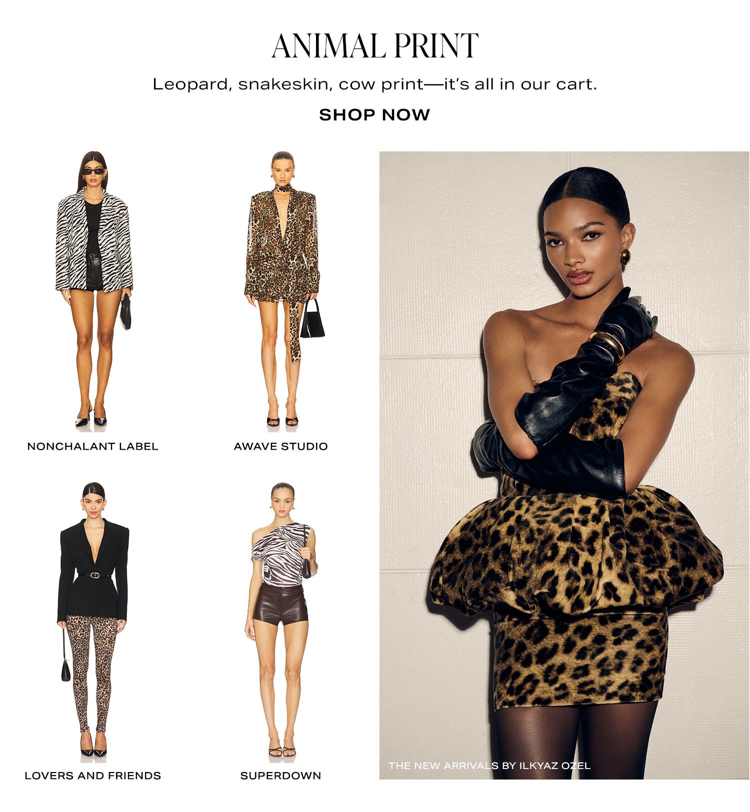Animal Print. Shop Now
