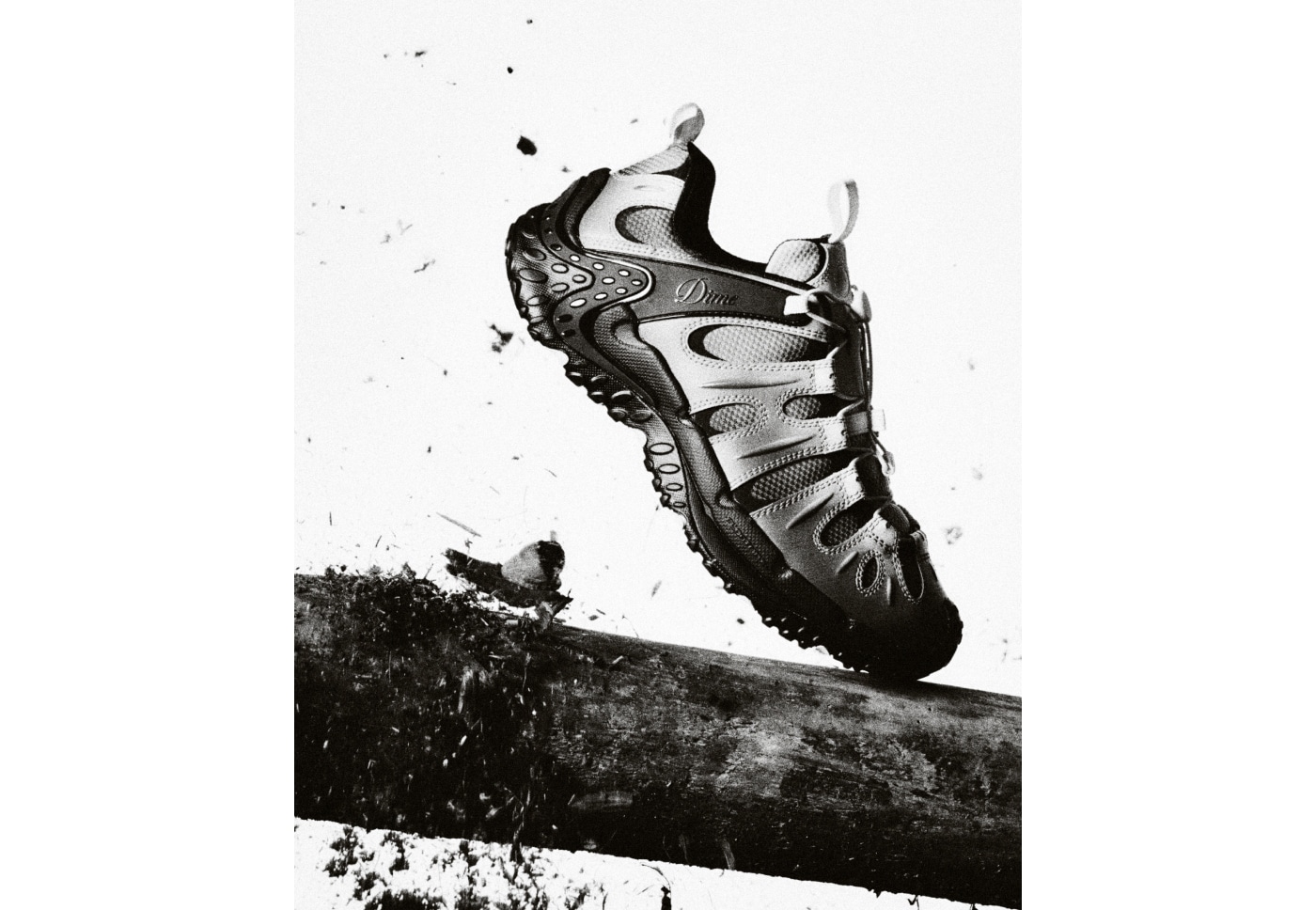 Merrell 1TRL X Dime Chameleon.