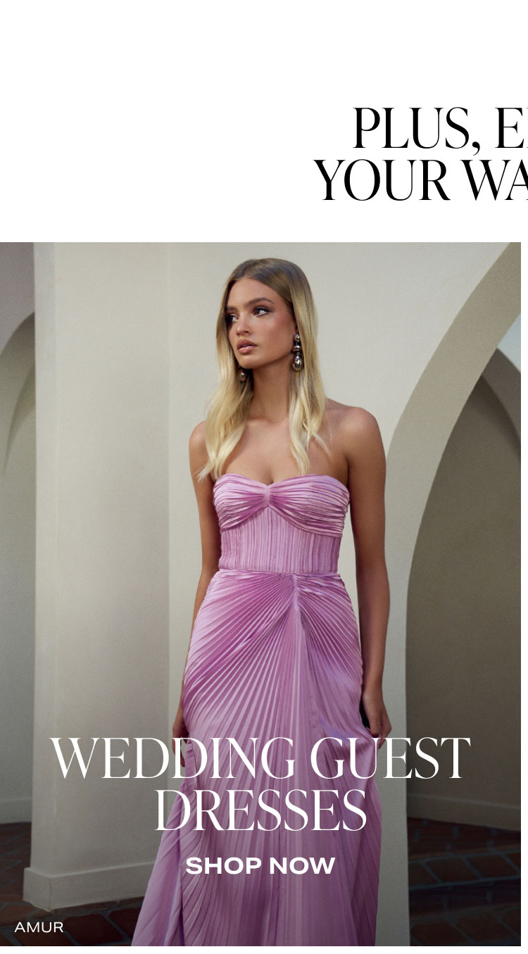 SHOP WEDDING GUEST DRESSES.