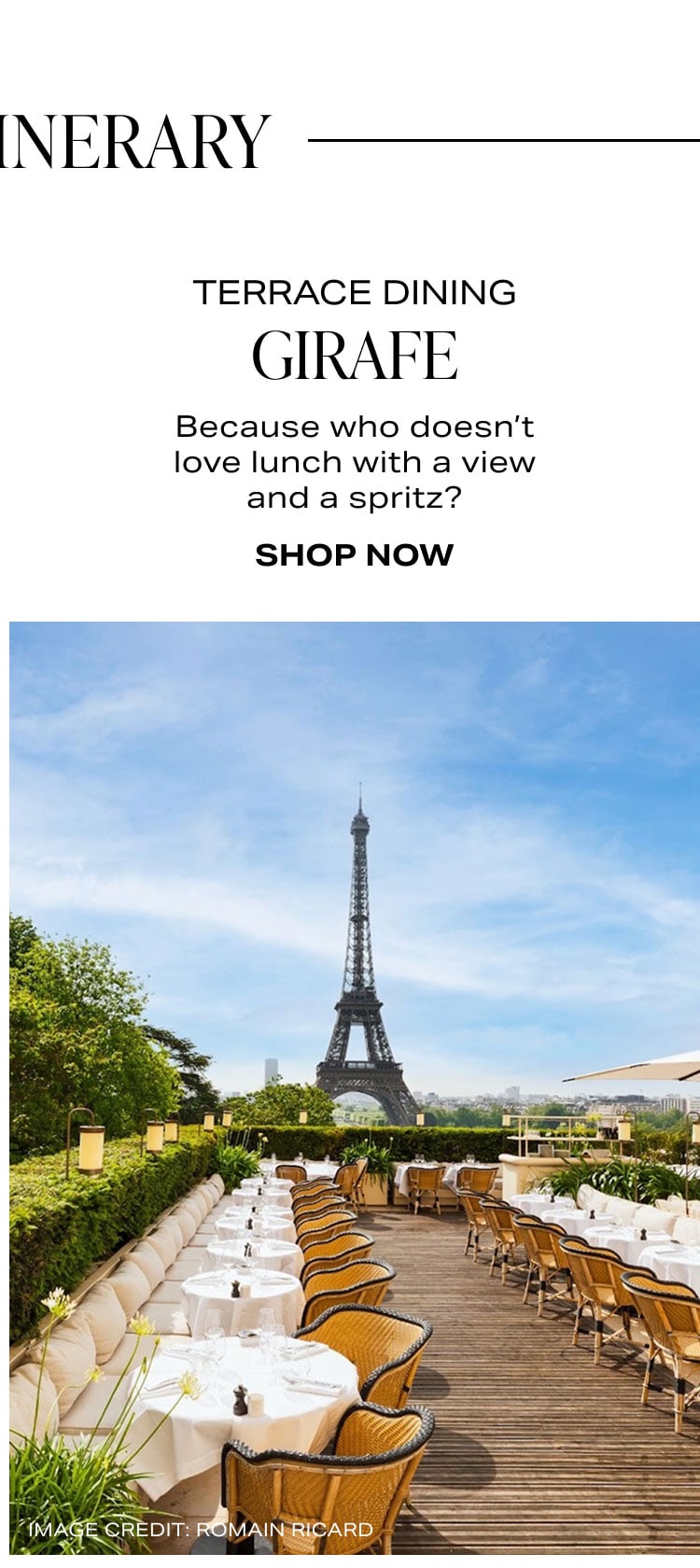 Shop Giraffe