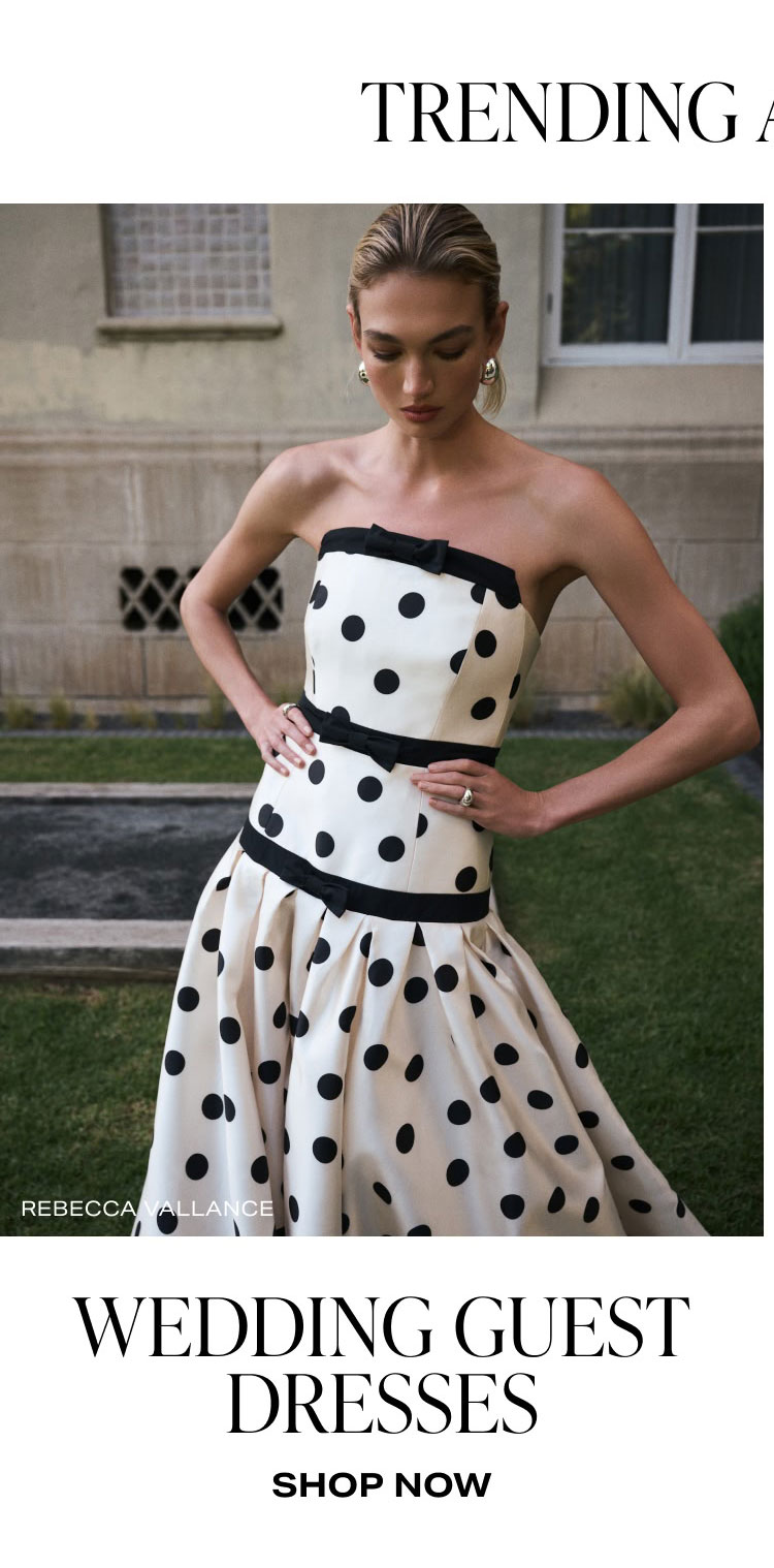 Shop Wedding Guest Dresses