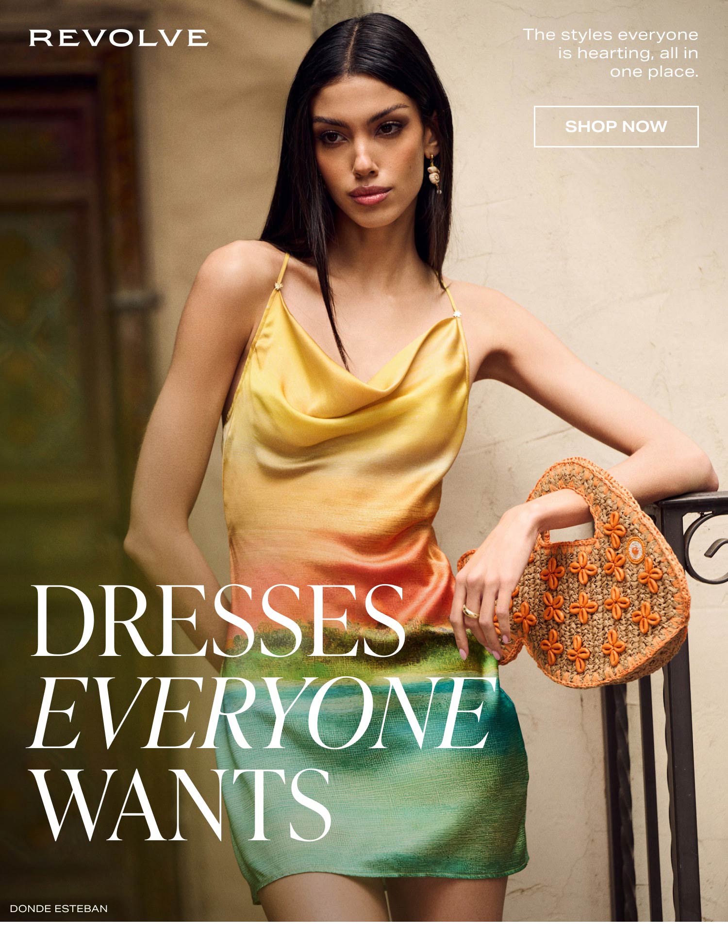 Explore Dresses Everyone Wants
