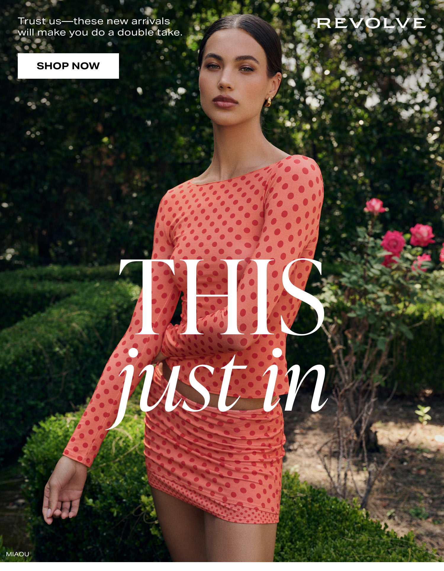 Shop This Just In