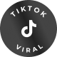 TikTok Viral product