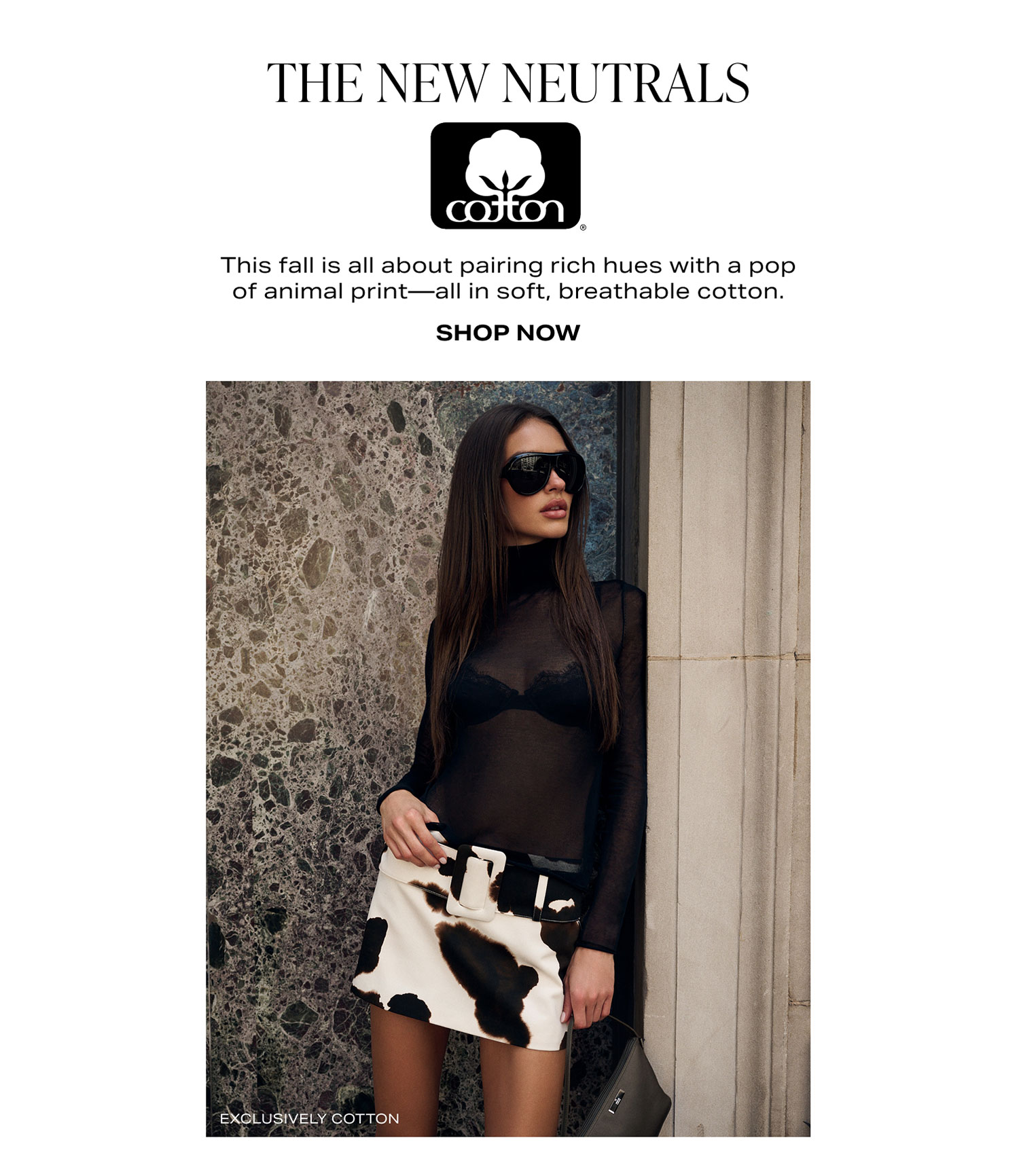 Shop Cotton