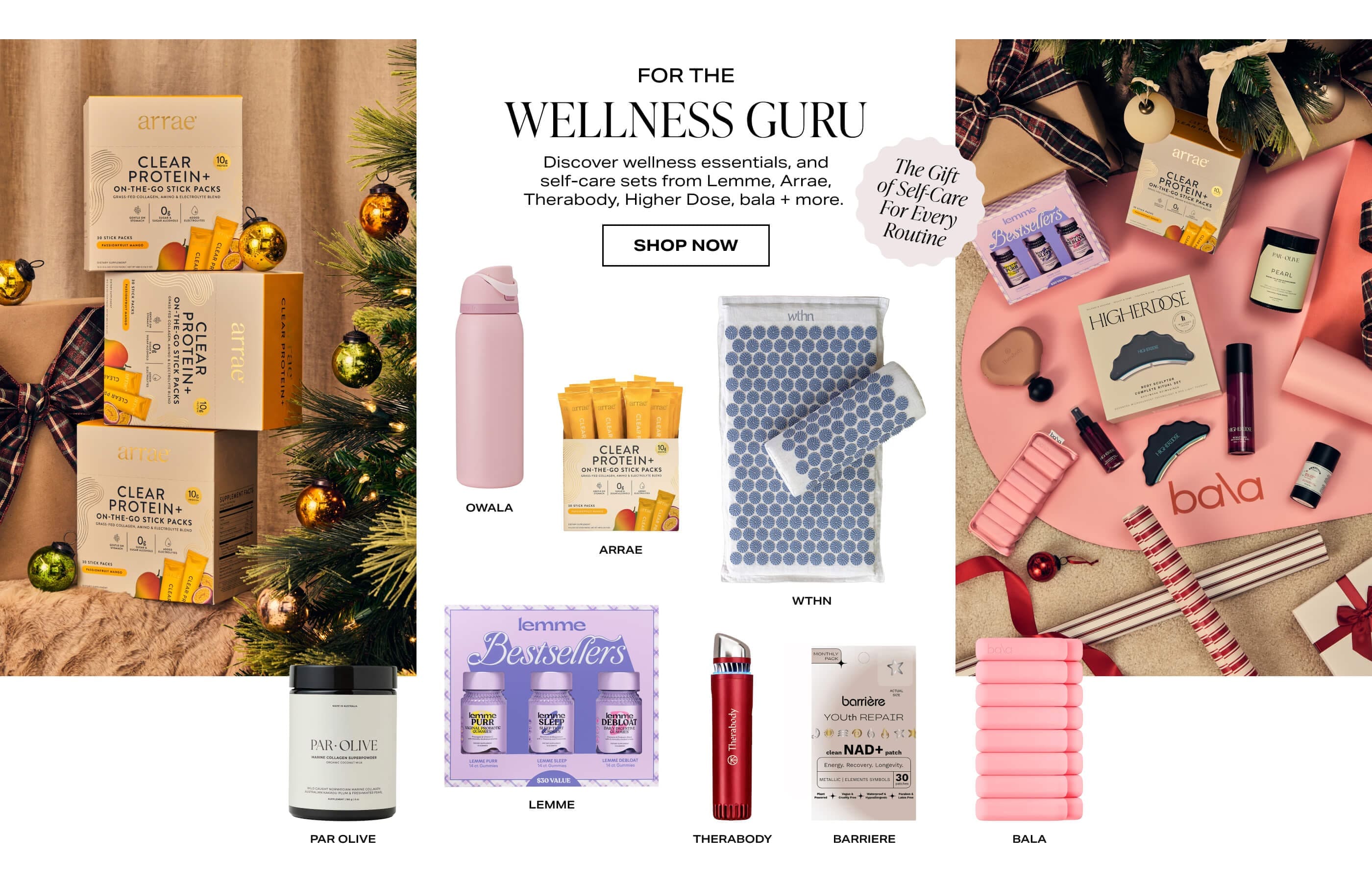 For the Wellness Guru