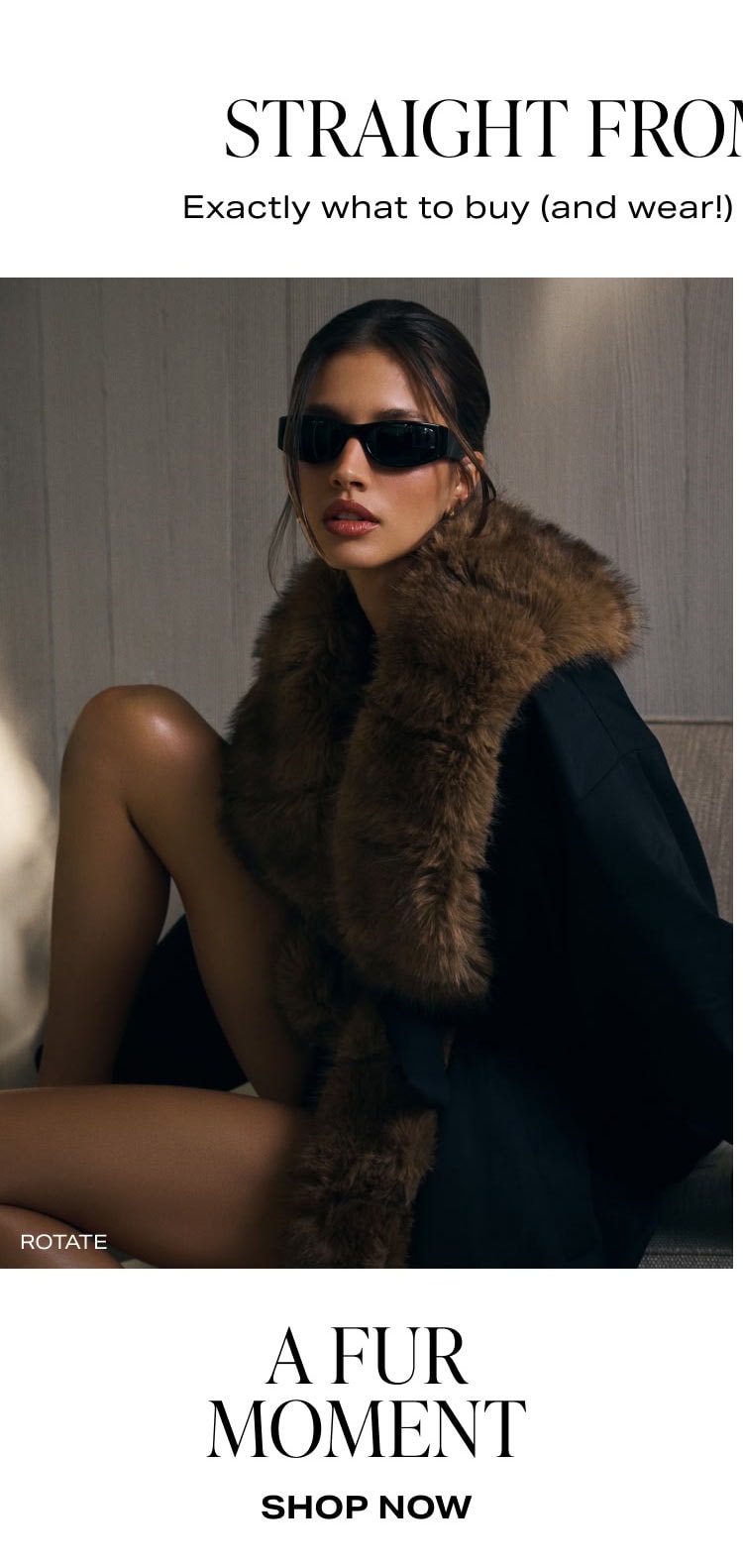 Shop Fur Moment