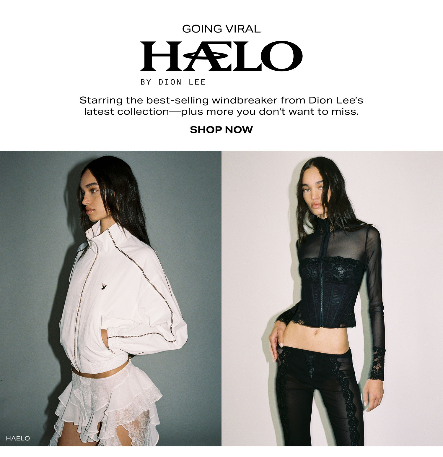 Shop Haelo
