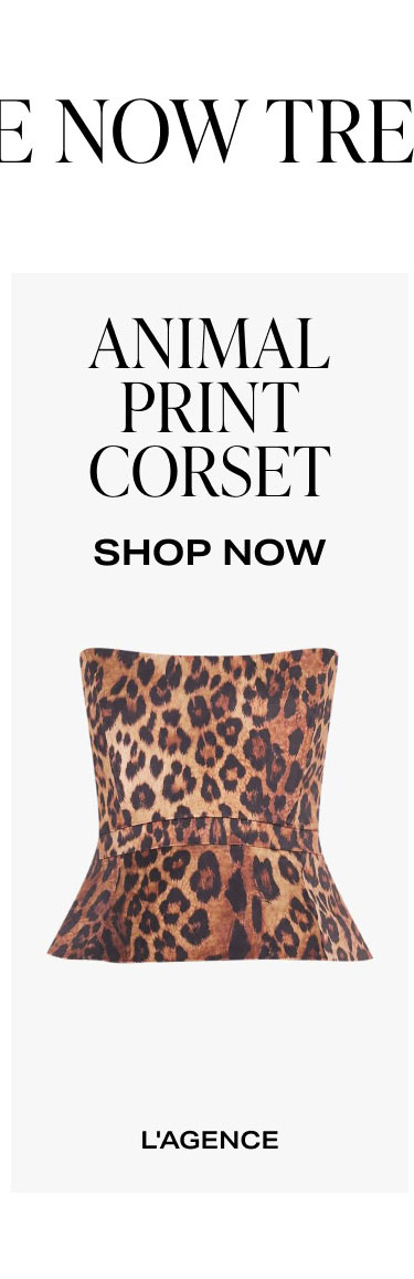 Shop Animal Print Corset
