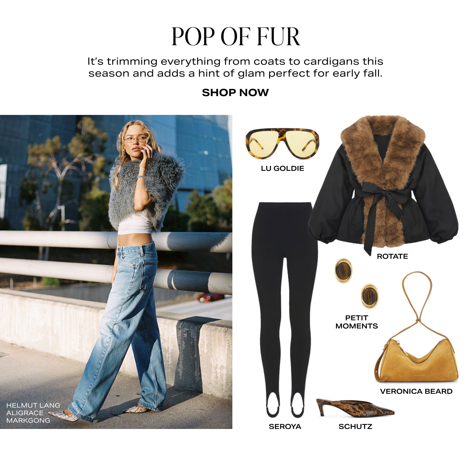 Shop Pop of Fur